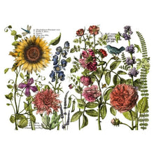 Load image into Gallery viewer, IOD Decor Transfer Botanists Journal