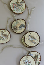 Load image into Gallery viewer, Iron Orchid Designs Decor Transfer Bramblewood Diaries