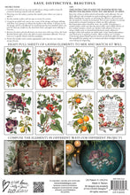 Load image into Gallery viewer, IOD Decor Transfer Clementine *Limited Edition*