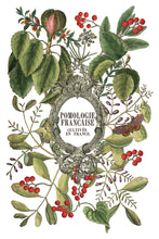Load image into Gallery viewer, IOD Decor Transfer Clementine *Limited Edition*