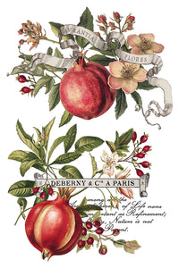 IOD Decor Transfer Clementine *Limited Edition*