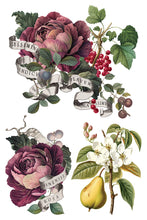 Load image into Gallery viewer, IOD Decor Transfer Clementine *Limited Edition*
