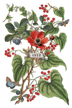 Load image into Gallery viewer, IOD Decor Transfer Clementine *Limited Edition*