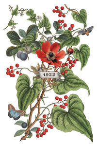 IOD Decor Transfer Clementine *Limited Edition*