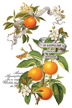 Load image into Gallery viewer, IOD Decor Transfer Clementine *Limited Edition*