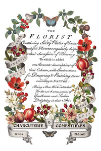 IOD Decor Transfer Clementine *Limited Edition*