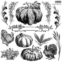 Load image into Gallery viewer, IOD Decor Stamp Autumn Blessing *Limited Edition*