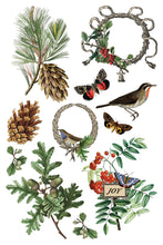 Load image into Gallery viewer, IOD Decor Transfer Winter Botanist *Limited Edition*