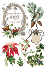 Load image into Gallery viewer, IOD Decor Transfer Winter Botanist *Limited Edition*