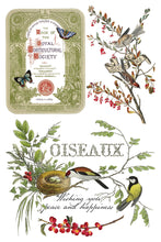Load image into Gallery viewer, IOD Decor Transfer Winter Botanist *Limited Edition*