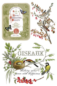IOD Decor Transfer Winter Botanist *Limited Edition*