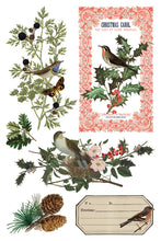Load image into Gallery viewer, IOD Decor Transfer Winter Botanist *Limited Edition*