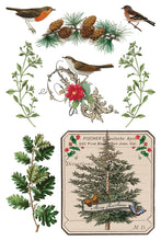 Load image into Gallery viewer, IOD Decor Transfer Winter Botanist *Limited Edition*