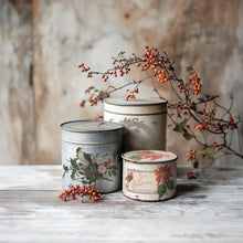 Load image into Gallery viewer, IOD Decor Transfer Winter Botanist *Limited Edition*