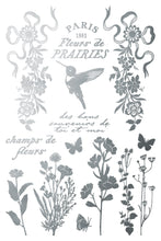 Load image into Gallery viewer, Iron Orchid Designs Decor Foil Transfer Papillon