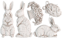 Load image into Gallery viewer, Iron Orchid Designs Mould Le Lapins