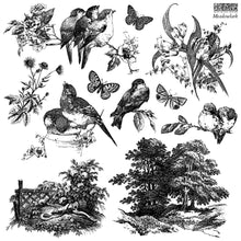 Load image into Gallery viewer, Iron Orchid Designs Decor Stamp Meadow Lark 12 x 12