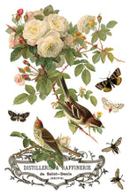 Load image into Gallery viewer, Iron Orchid Designs Decor Transfer By Any Other Name