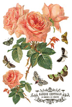 Load image into Gallery viewer, Iron Orchid Designs Decor Transfer By Any Other Name