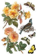 Load image into Gallery viewer, Iron Orchid Designs Decor Transfer By Any Other Name