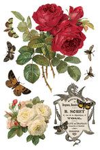 Load image into Gallery viewer, Iron Orchid Designs Decor Transfer By Any Other Name