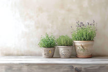 Load image into Gallery viewer, Iron Orchid Designs Decor Transfer By Any Other Name