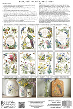 Load image into Gallery viewer, Iron Orchid Designs Decor Transfer Flora Grecca
