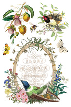 Load image into Gallery viewer, Iron Orchid Designs Decor Transfer Flora Grecca