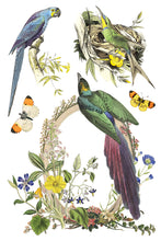 Load image into Gallery viewer, Iron Orchid Designs Decor Transfer Flora Grecca