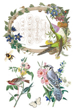 Load image into Gallery viewer, Iron Orchid Designs Decor Transfer Flora Grecca