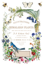 Load image into Gallery viewer, Iron Orchid Designs Decor Transfer Flora Grecca