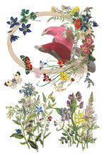 Load image into Gallery viewer, Iron Orchid Designs Decor Transfer Flora Grecca