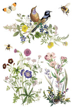 Load image into Gallery viewer, Iron Orchid Designs Decor Transfer Flora Grecca
