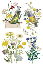 Load image into Gallery viewer, Iron Orchid Designs Decor Transfer Flora Grecca