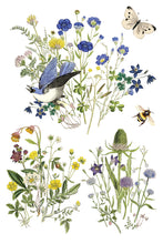 Load image into Gallery viewer, Iron Orchid Designs Decor Transfer Flora Grecca