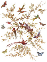 Load image into Gallery viewer, IOD Decor Transfer Madelaine
