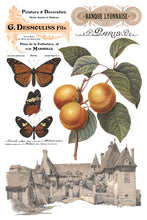 Load image into Gallery viewer, Iron Orchid Designs Decor Transfer Saint Ouen