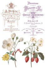 Load image into Gallery viewer, Iron Orchid Designs Decor Transfer Saint Ouen