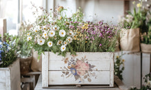 Load image into Gallery viewer, Iron Orchid Designs Decor Transfer Saint Ouen