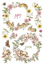 Load image into Gallery viewer, Iron Orchid Designs Decor Transfer Bramblewood Diaries