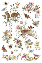 Load image into Gallery viewer, Iron Orchid Designs Decor Transfer Bramblewood Diaries