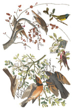 Load image into Gallery viewer, Iron Orchid Designs Decor Transfer Winter's Calling *Limited Edition*
