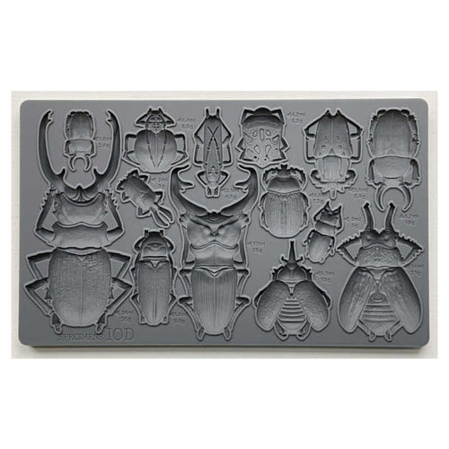 IOD Specimen Mould 6 x 10
