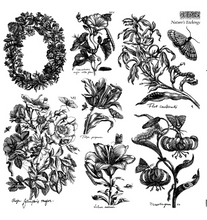 Load image into Gallery viewer, IOD Decor Stamp Natures Etchings