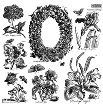 Load image into Gallery viewer, IOD Decor Stamp Natures Etchings