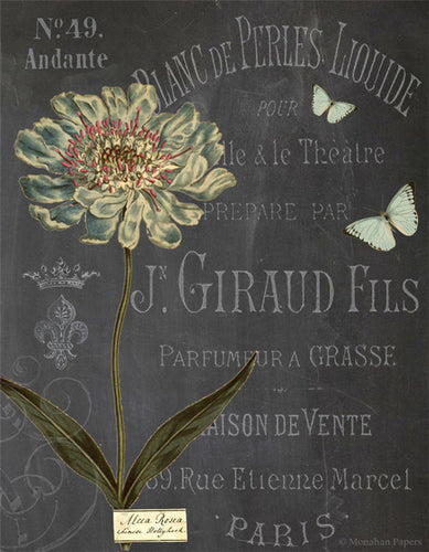 Monahan Botanical J Giraud Fils Decoupage papers 11