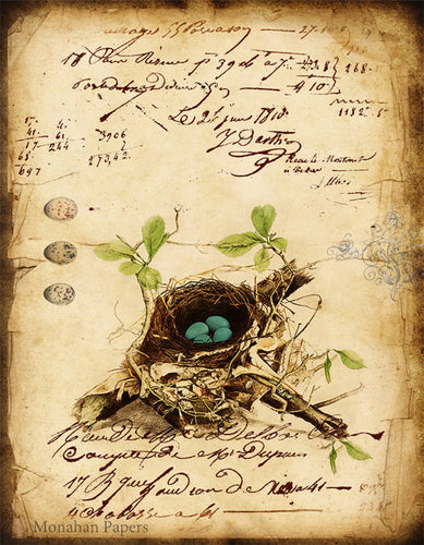 Monahan Botanical Blue Egg Nest Decoupage papers 11