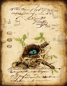 Monahan Botanical Blue Egg Nest Decoupage papers 11" x 17"