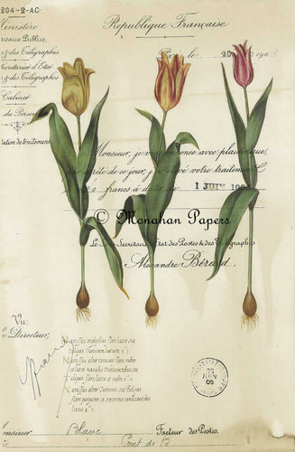 Monahan Botanical 3 Tulips Decoupage papers  11
