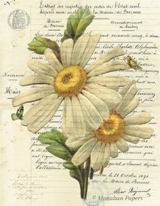 Monahan Botanical Daisies Decoupage Papers 11" x 17"